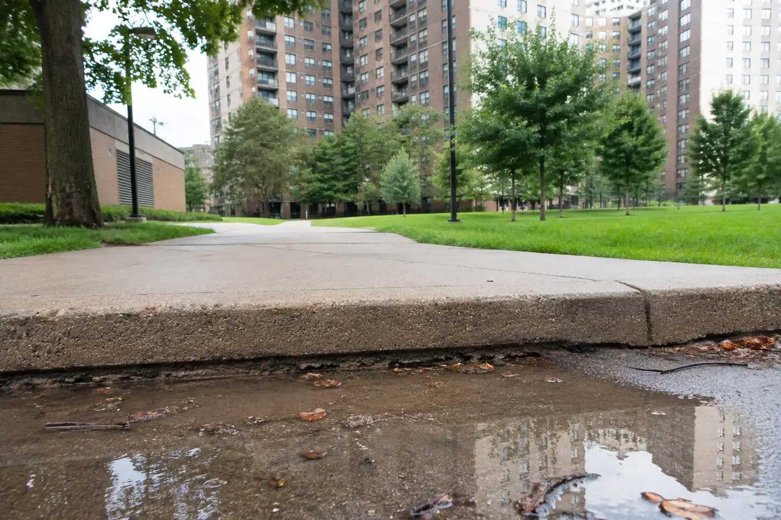 Raised sidewalk edge and rain puddle beside apartment towers and lawns, illustrating a Co-op City NY fall hazard.
